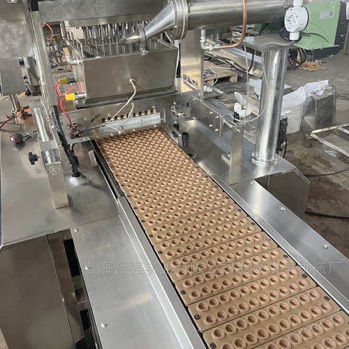 荔枝软糖成型生产线 凝胶糖果浇注设备