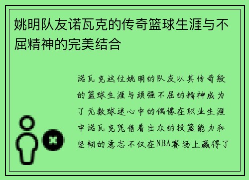 姚明队友诺瓦克的传奇篮球生涯与不屈精神的完美结合
