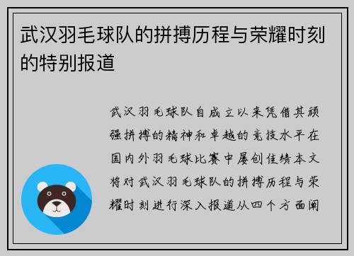 武汉羽毛球队的拼搏历程与荣耀时刻的特别报道